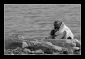04 - Io sono tranquilla